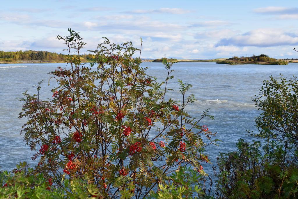 Arctic Nature Hotel Selfoss Exterior foto