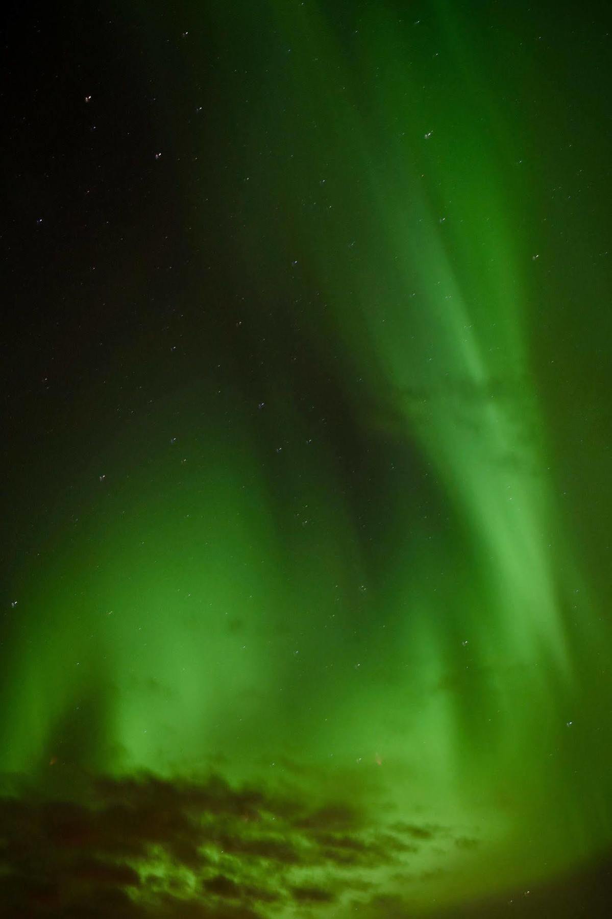 Arctic Nature Hotel Selfoss Exterior foto